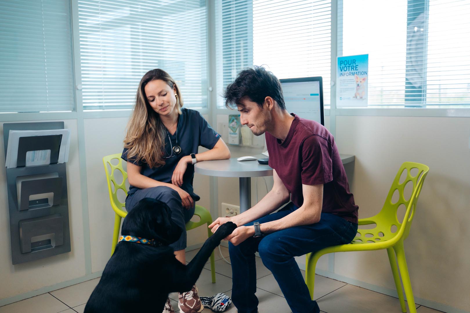 A veterinarian and a pet owner with a dog in a consult room