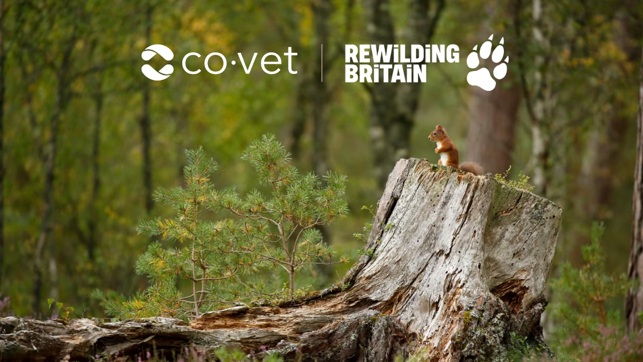 CoVet and Rewilding Britain