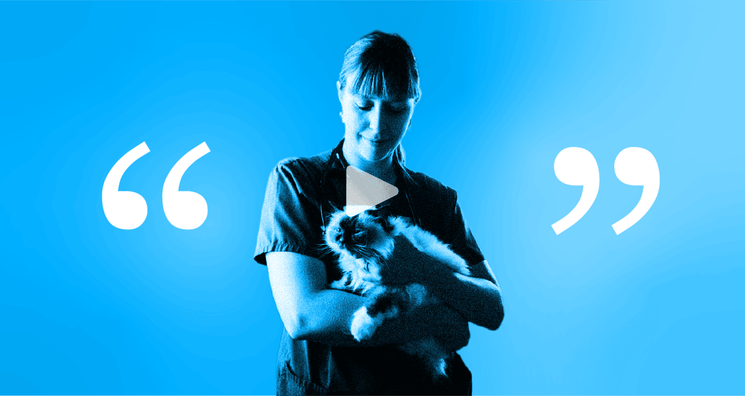 How 11 VMG practices saved time with CoVet